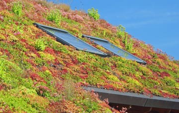 Upper Walthamstow living roof systems
