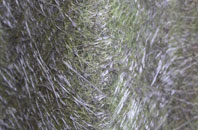 Upper Walthamstow fibreglass roof work